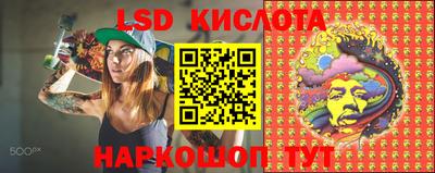 ПСИЛОЦИБИНОВЫЕ ГРИБЫ Свободный