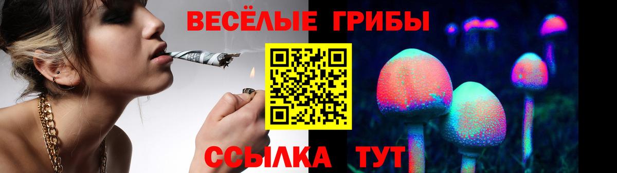 Галлюциногенные грибы MAGIC MUSHROOMS  Псилоцибиновые грибы GOLDEN TEACHER  Вход с VPN  Сальск 